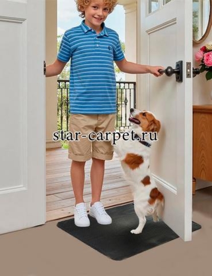 Коврик придверный грязезащитный Graily, чёрный, шипы