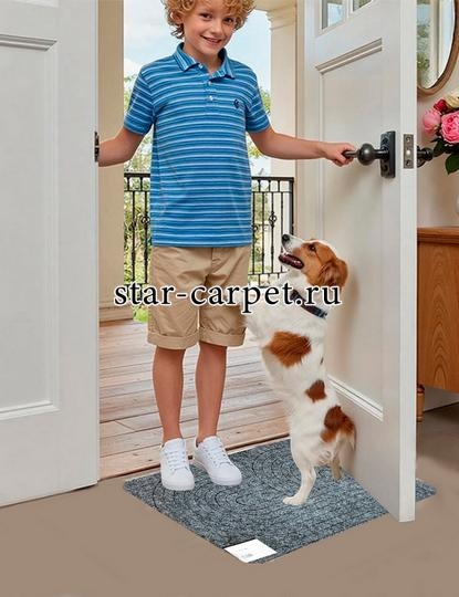 Коврик придверный в прихожую Graily, серый 'Лазер', рисунок круг