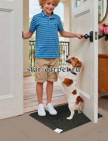 Коврик придверный в прихожую Graily, черный 'Лазер', рисунок круг