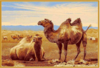 Настенный ковер hunnu сувенирный 6S873 82 верблюды