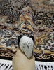 d414 - CREAM-NAVY - Овал - коллекция SHAHREZA