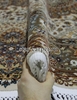 Овальный ковер SHAHREZA d414 - CREAM-BROWN 