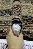Ковер D415 - CREAM-NAVY - Овал - коллекция SHAHREZA