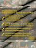 Постельное белье 1,5 спальное Мирелла, сатин, хлопок, наволочки 70х70