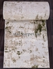 Ковровая дорожка TOKIO 15456A - CREAM / L.GREEN (Турция)