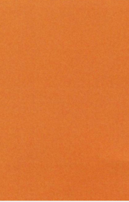 Ковер длинноворсовый Highline 2144 9202 оранжевый цвет 