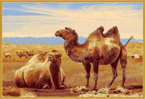 Ковер Erdenet 6S873 82 верблюды
